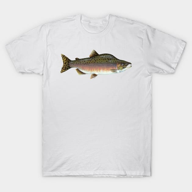 Salmon Artwork T-Shirt by Bravuramedia